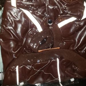 Small dog coat